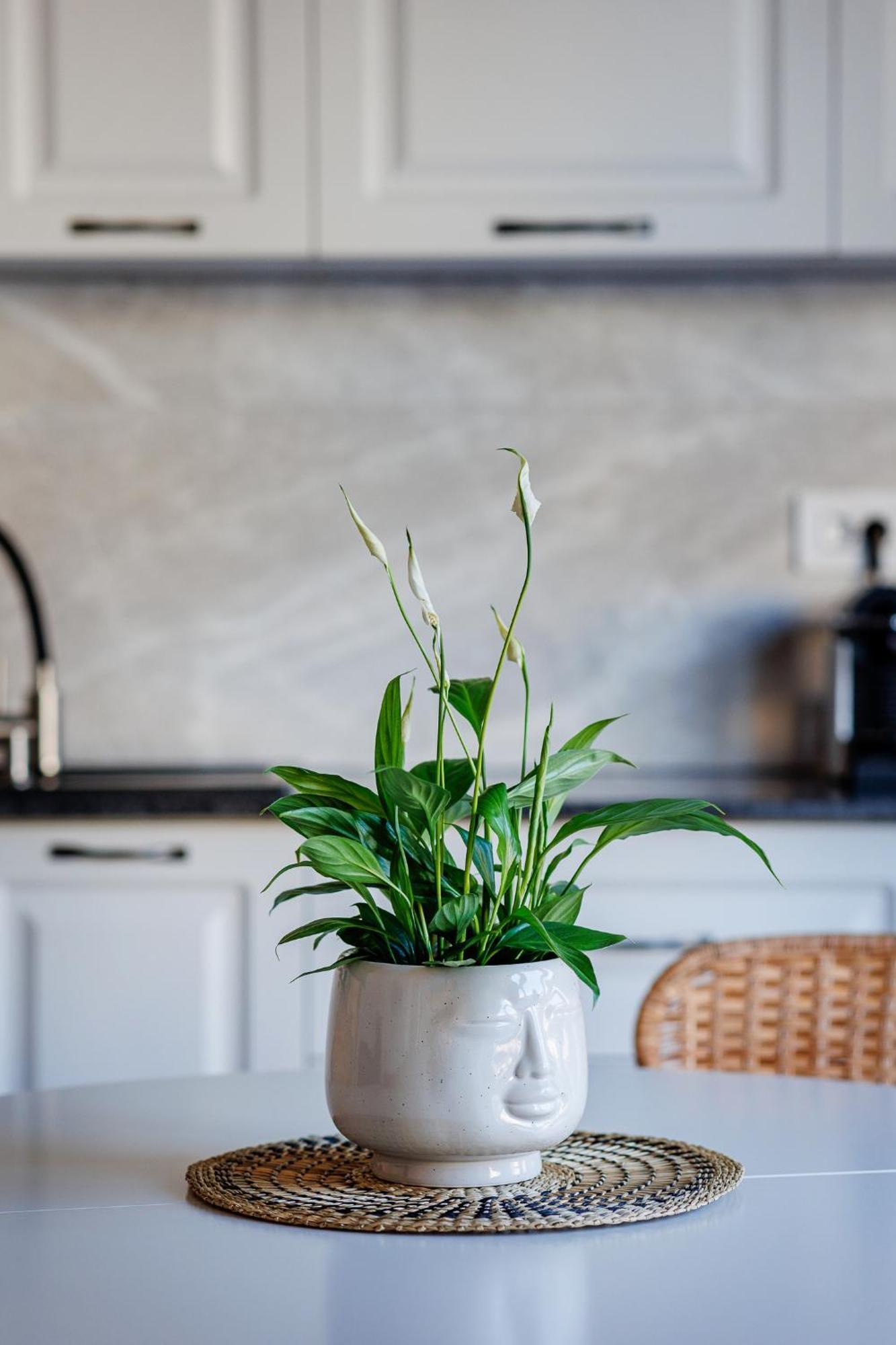 The Corner Luxe Apartment Bucarest Extérieur photo